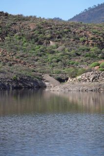 GC-Trek (Presa de Las Ninas-Soria) 2021-048.JPG